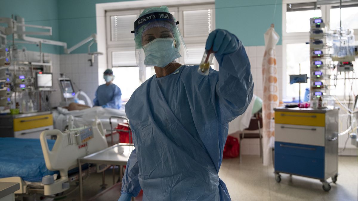 Lékaři transplantovali plíce prvnímu pacientovi, kterému je poškodil covid